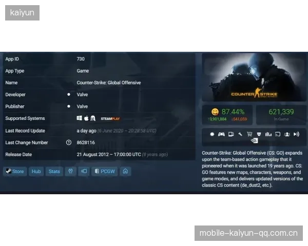 CS_GO地图切点与快攻套路训练：提升你的竞技水平